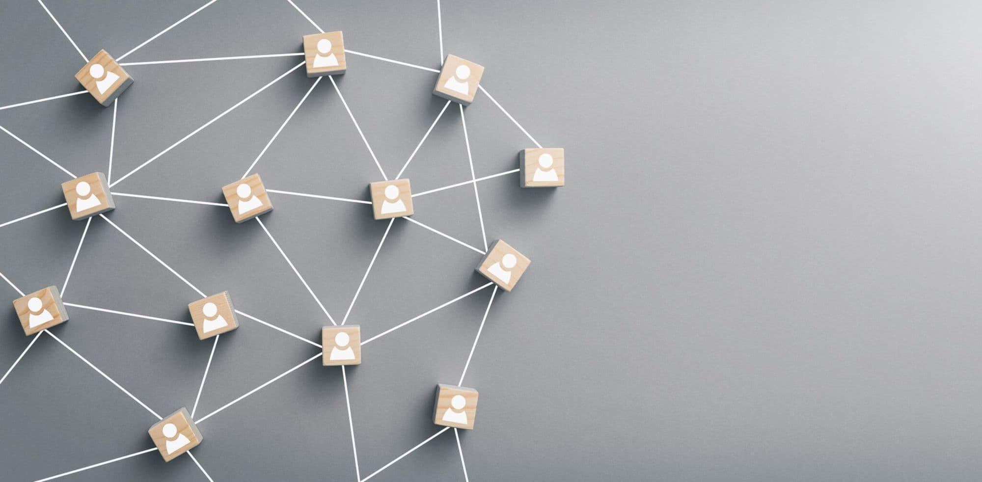 Connected nodes on a grey ground, one network